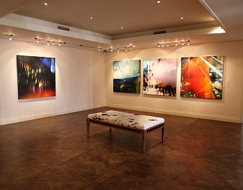 Syndi Installation 02