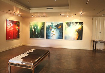 Syndi Installation 05