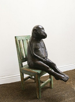 WAC17825 Little Papio 6 of 10