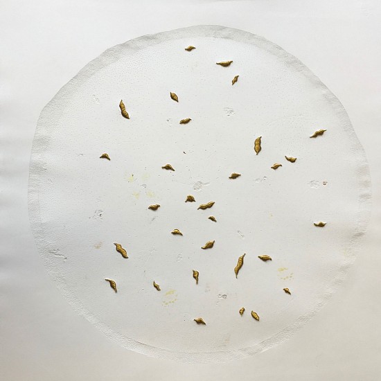 BRONWYN LACE, Stitched Pupa
2016, Embossed Unwanted Lepidoptera Specimens Collected from a Retired Entomologist, Piercings and Gold Coloured Thread on Cotton Rag Paper