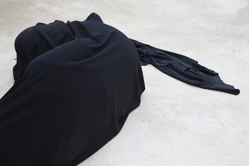 THANIA PETERSEN, AVARANA II
2016