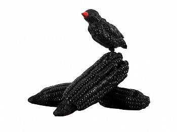 Mash. Red Billed Quelea