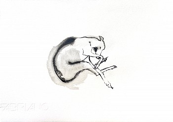 ASLEEP 2020 Ink Wash on Fabriano Paper 17.5X25cm