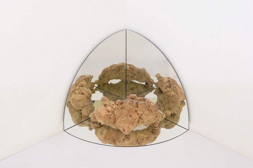 DIANA VIVES, MATER
2023, CALLUS TISSUE OR 'WOUNDWOOD' OF A NORFOLK ISLAND PINE AND MIRROR