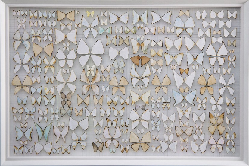 MARK RAUTENBACH, LOTB24 (LAST OF THE BUTTERFLIES SERIES)
2024, Mixed Media