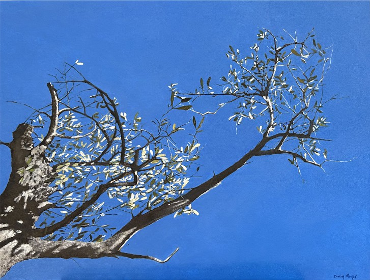 DENBY MEYER, THE OLIVE BRANCH
2024, Acrylic on Canvas