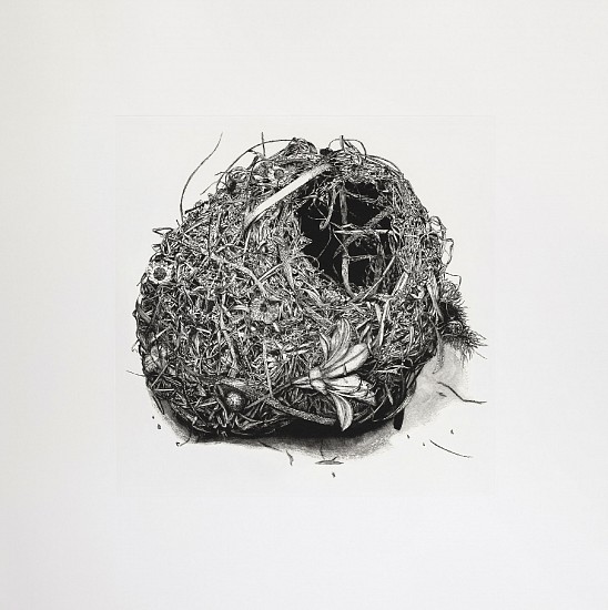 JANE EPPEL, SANCTUM
COPPERPLATE ETCHING (HARDGROUND)