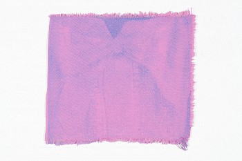 img 0009 2