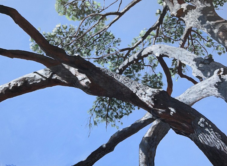 DENBY MEYER, SHADOW CONTRAST
2025, Acrylic on Canvas