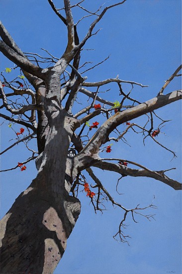 DENBY MEYER, ALMOST SUMMER
2025, Acrylic on Canvas