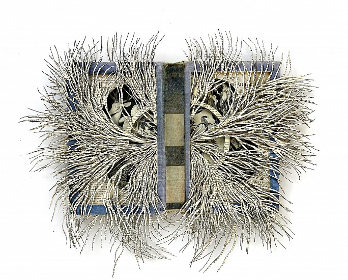 BARBARA WILDENBOER, THE ARTS
2025, Altered Book