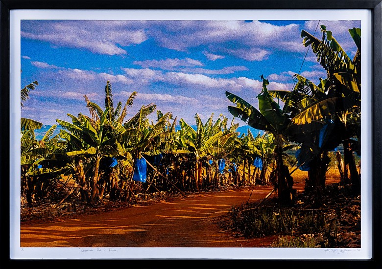 KHANYISA BRANCON, GAZANKULU: ODE TO TZANEEN
2025, FILM PHOTOGRAPHY ON ARCHIVAL TECCO MATT 280GSM