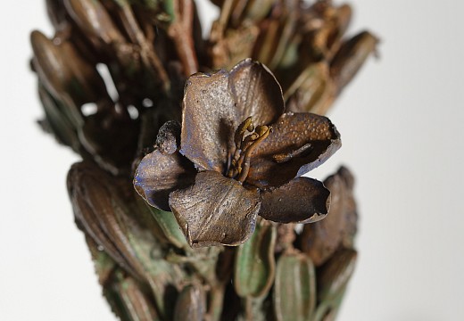 Everard Read 22 09 2025 Nic Bladen LR 9