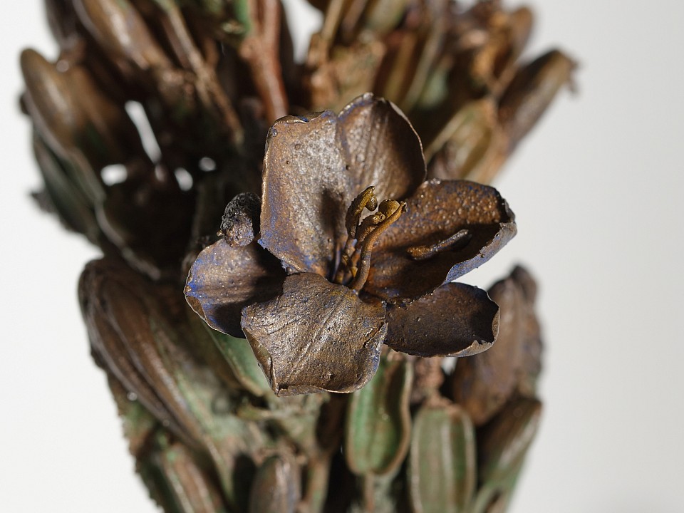 Everard Read 22 09 2025 Nic Bladen LR 9