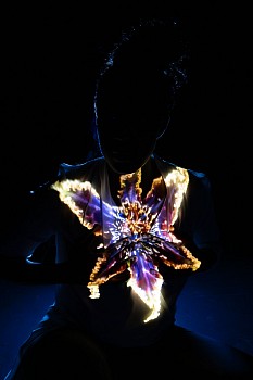 a prayer of initiation 1 ferraria crispa inkpootjie krulletjie spinnekopblom