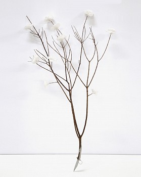 onder draai die duiwel rond