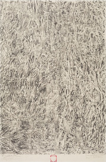 FAITH XLVII, OUTENIQUA YELLOWOOD TREE I, KNYSNA, SOUTH AFRICA - COLLABORATIVE WORK WITH ERIC YANASAK
2023, GRAPHITE ON SHIRAKABA PAPER