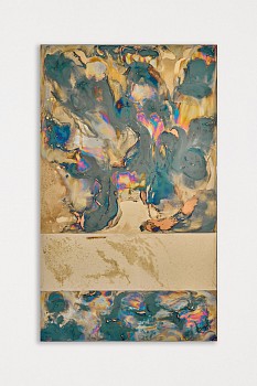 wac30381